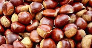 Castaña - GREEN FOREST PRODUCTS SA-RIBERALTA